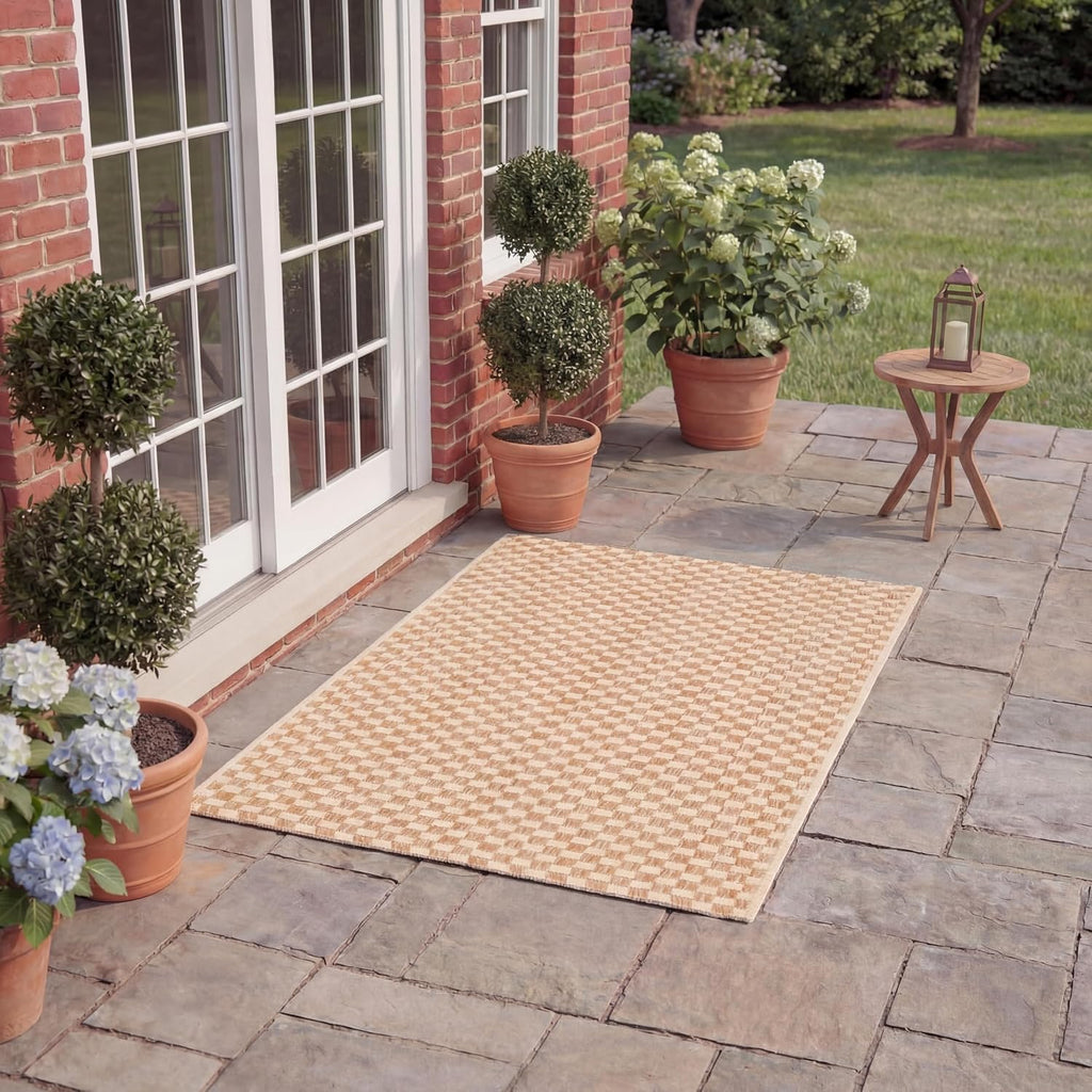Safavieh Natural Cream Washable Outdoor Rug